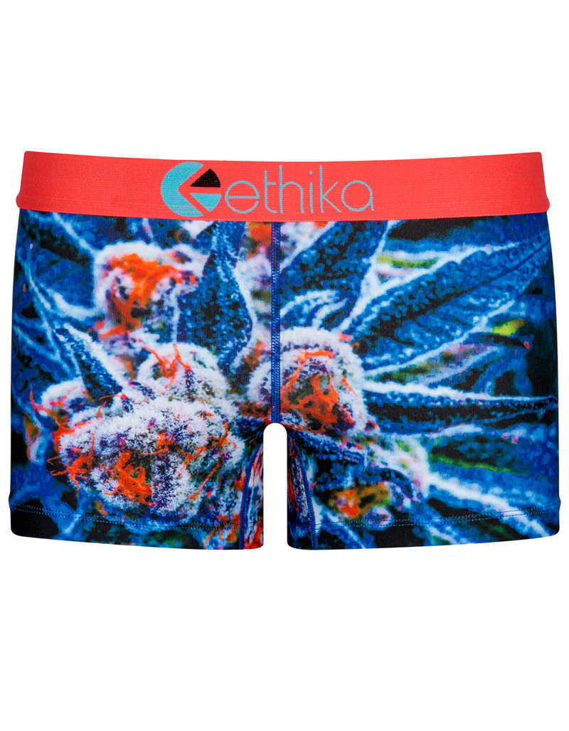 ETHIKA Half Baked Staple Boyshorts image number 3