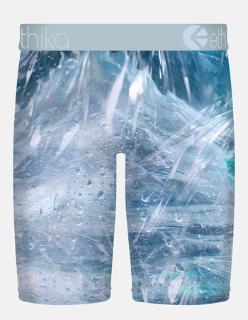 ETHIKA Polar Roar Staple Mens Boxer Briefs Alternative Image