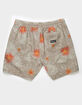 HURLEY Cannonball Mens 17" Volley Shorts image number 2
