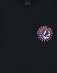 GRATEFUL DEAD Stealie USA Unisex Tee image number 3