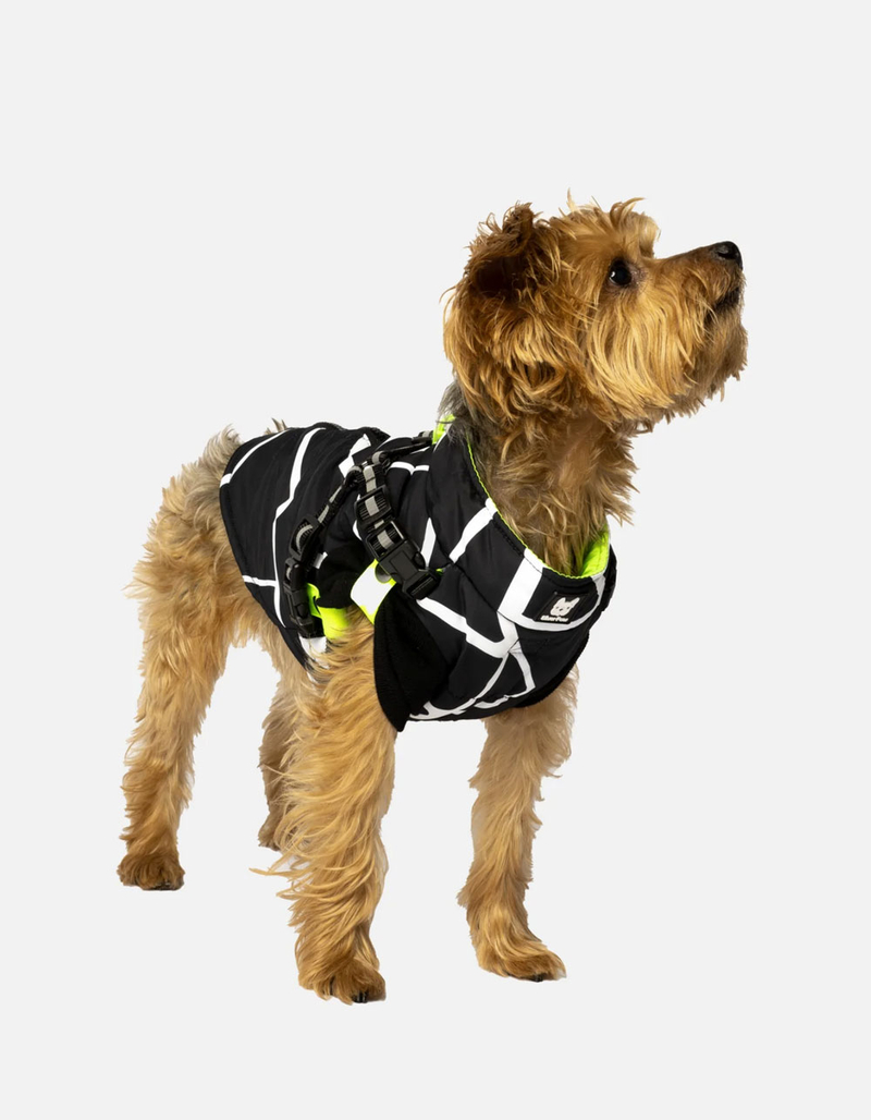 SILVER PAW Fonda Dog Jacket image number 0