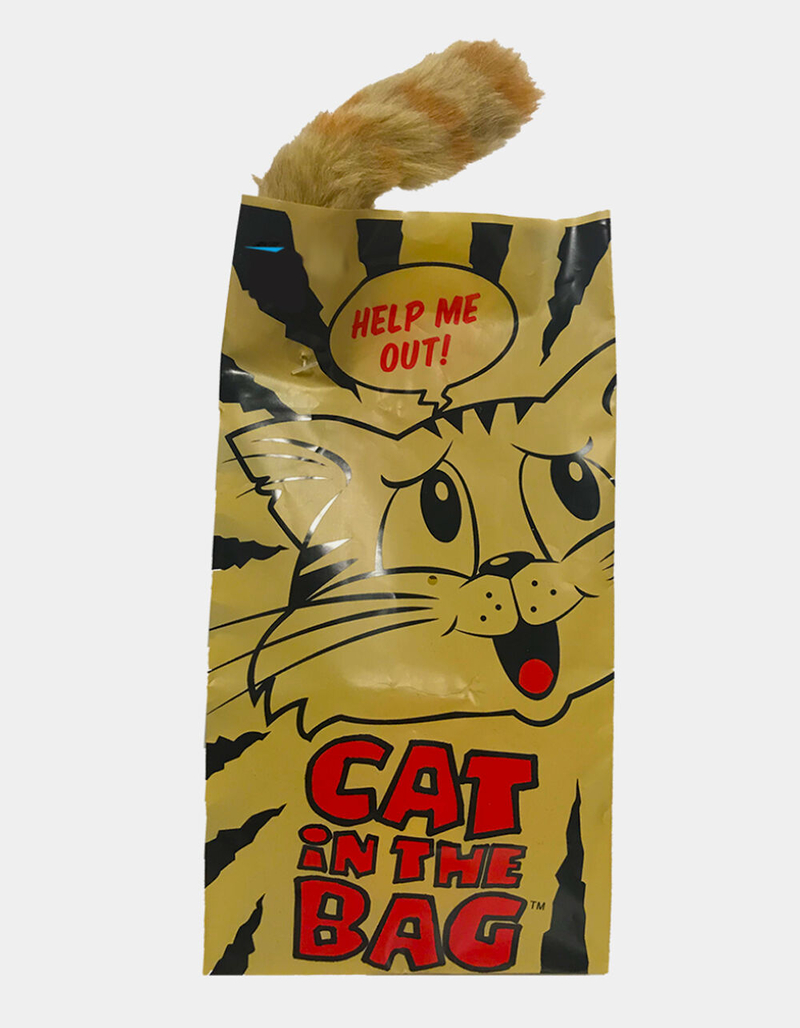 Cat In The Bag Motorized Ball image number 0