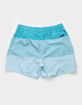 CHUBBIES Lined Classic Mens 5.5'' Swim Trunks image number 2