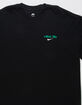 NIKE SB Repeat Mens Tee image number 3