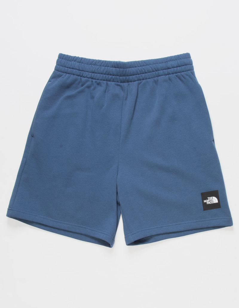 THE NORTH FACE Box NSE Mens Shorts image number 0
