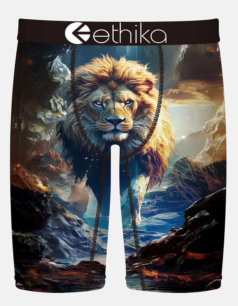 ETHIKA Lion Hearted Staple Mens Boxer Briefs image number 0