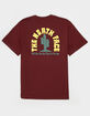 THE NORTH FACE Public Lands Cactus Mens Tee image number 1