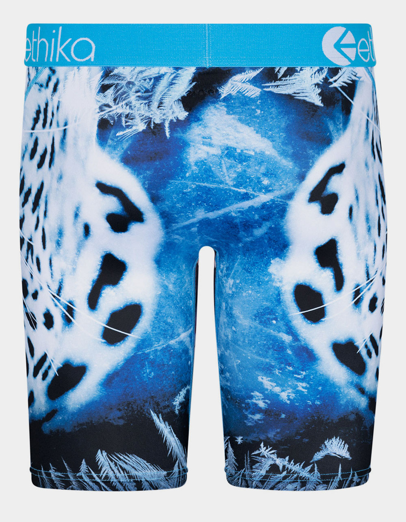 ETHIKA Snow Force Staple Boys Boxer Briefs image number 2