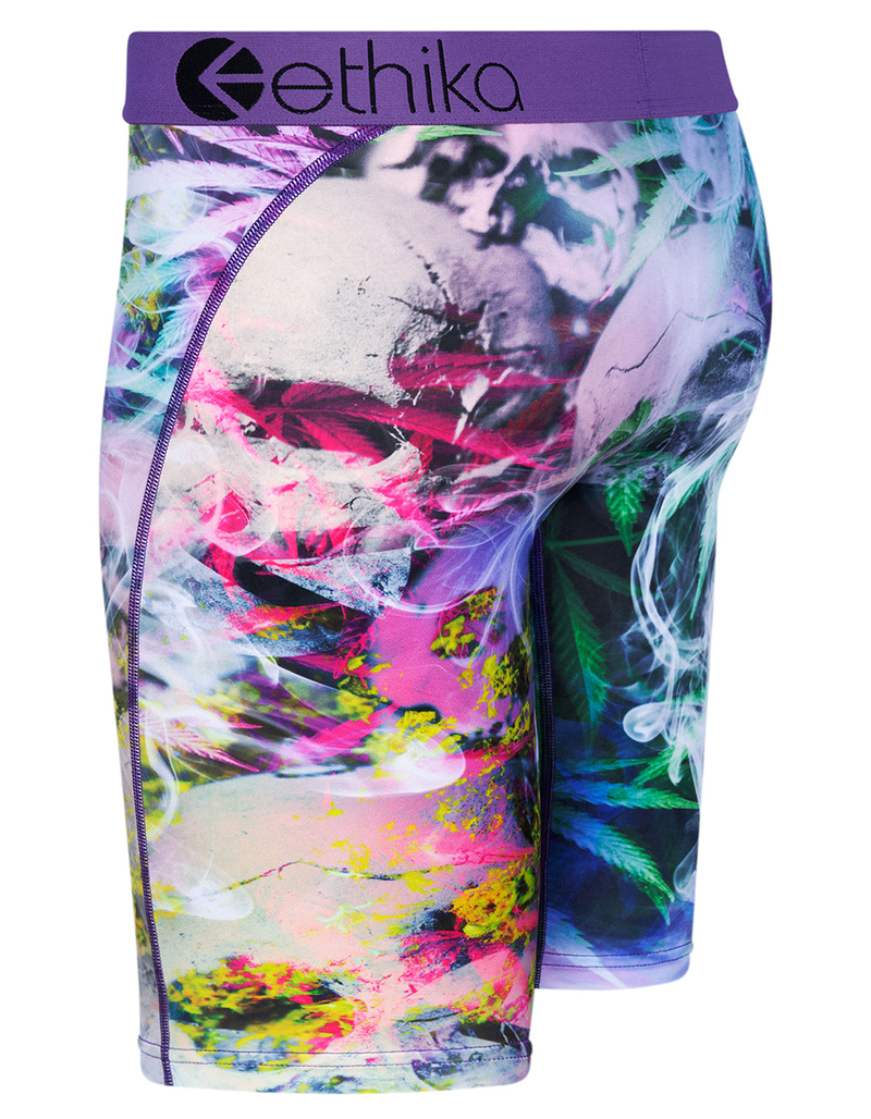 ETHIKA High Standards Staple Mens Boxer Briefs image number 1