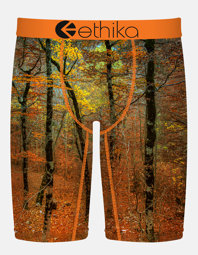 ETHIKA Fallback Staple Mens Boxer Briefs image number 0