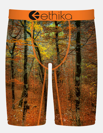 ETHIKA Fallback Staple Mens Boxer Briefs Primary Image