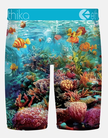 ETHIKA Shadow Tip Staple Mens Boxer Briefs Alternative Image