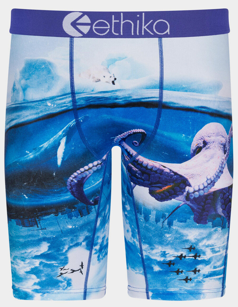 ETHIKA The Upside Down Mens Boxer Briefs image number 0