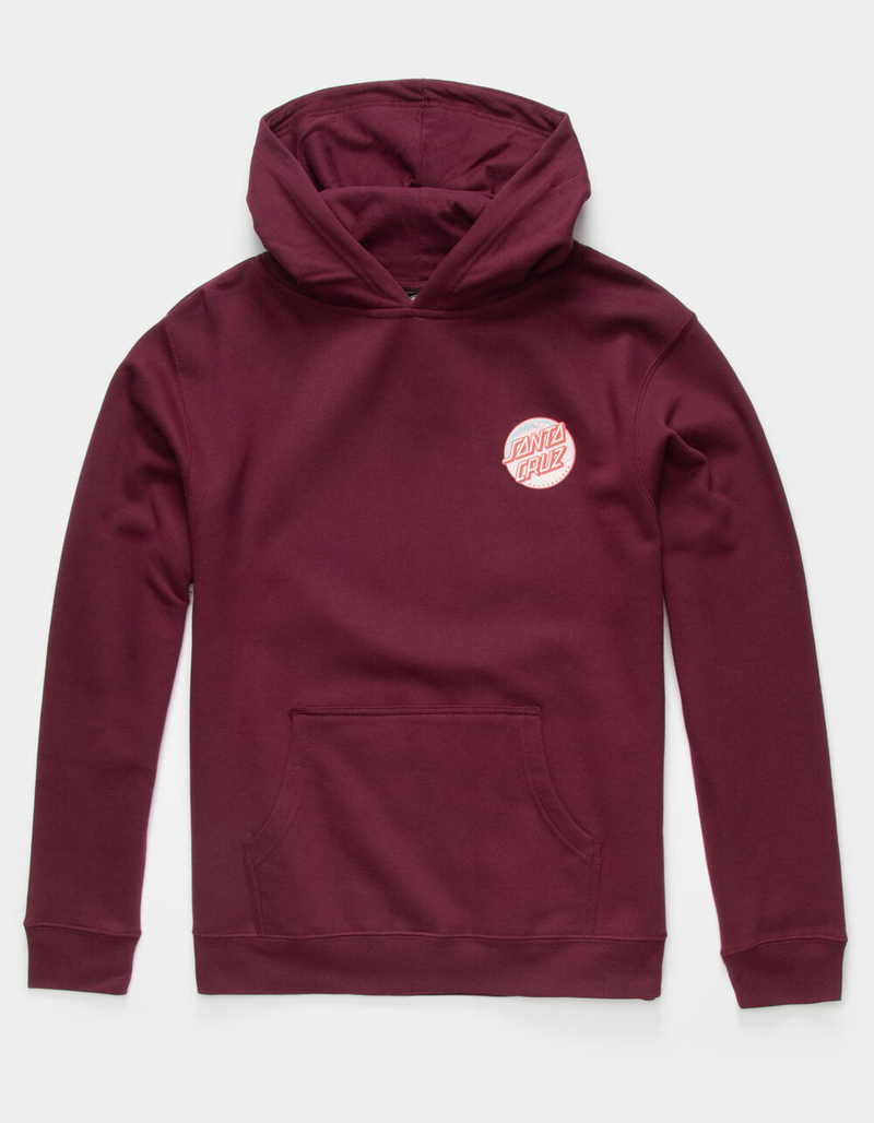 SANTA CRUZ Decoder Dot Boys Hoodie image number 1