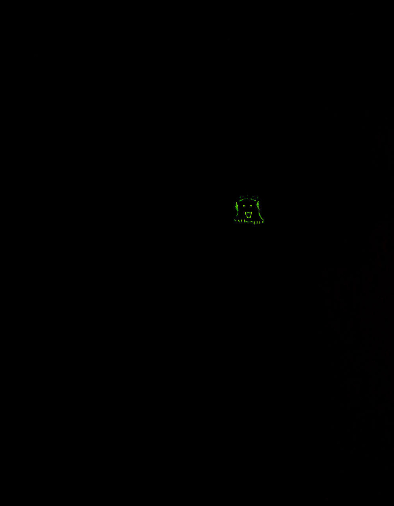 HURLEY Panthers Mens T-Shirt image number 3