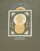 RIP CURL Pineapple Paradise Mens Tee image number 3