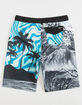 HURLEY Photoreal Boys Boardshorts image number 2
