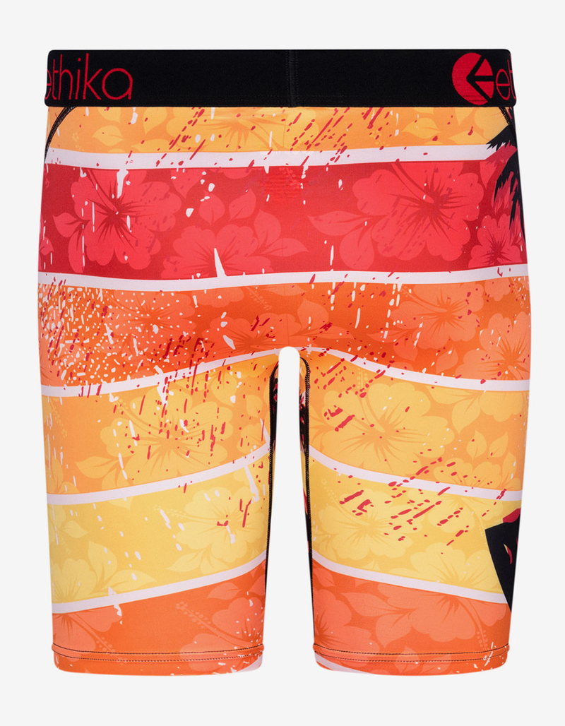 ETHIKA Ohana Forever Staple Boys Boxer Briefs image number 2