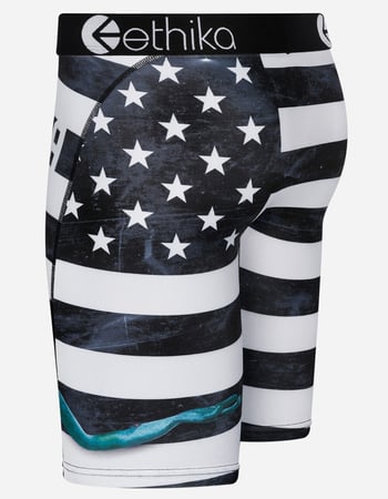 ETHIKA Stank Mens Boxer Briefs Alternative Image