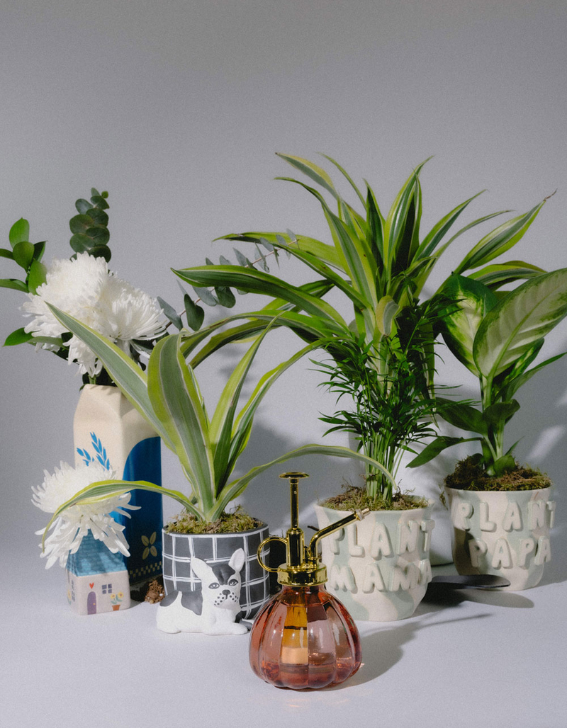 TILLYS HOME Carlisle Plant Mister image number 5