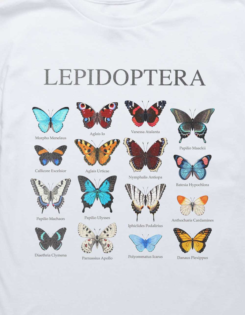 BUTTERFLY Lepidoptera Types Unisex Kids Tee image number 1