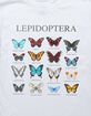 BUTTERFLY Lepidoptera Types Unisex Kids Tee image number 2