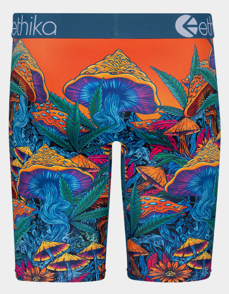 ETHIKA Psychedelic Field Staple Mens Boxer Briefs image number 2