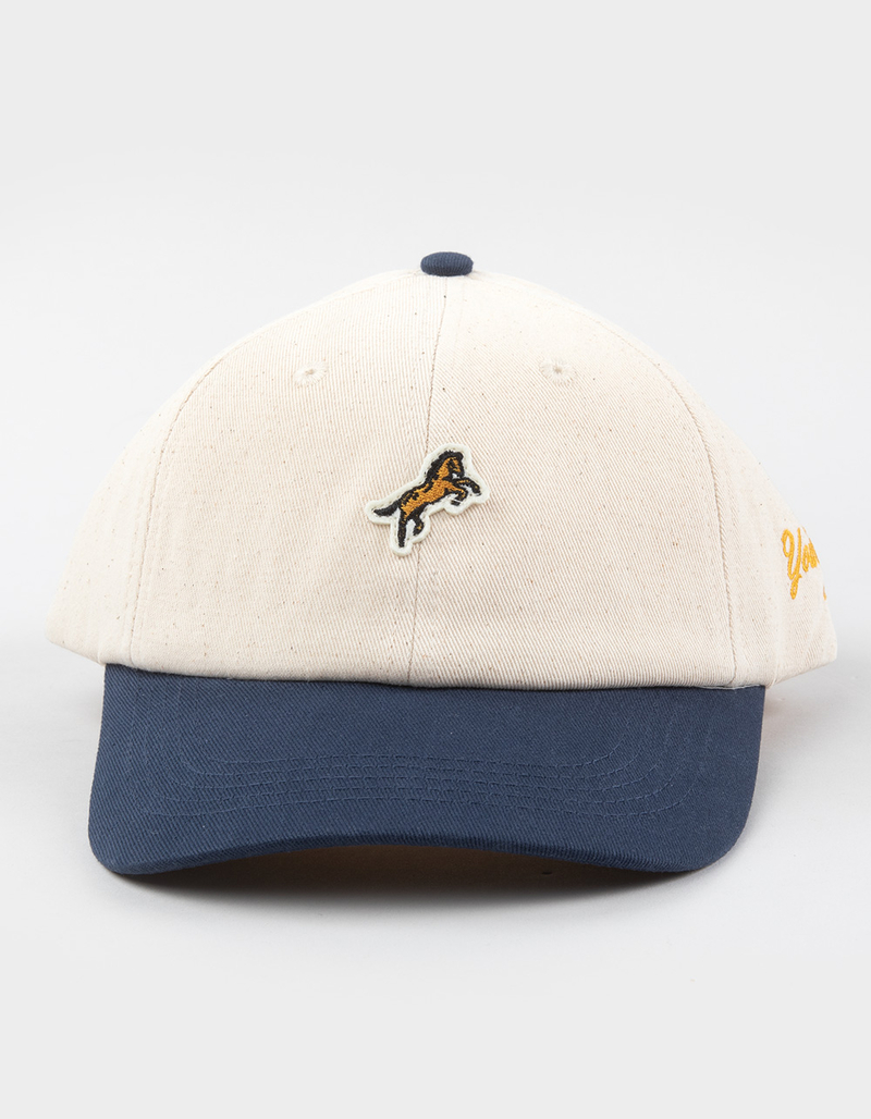 HEMLOCK HAT CO. Bozeman Dad Snapback Hat  image number 1