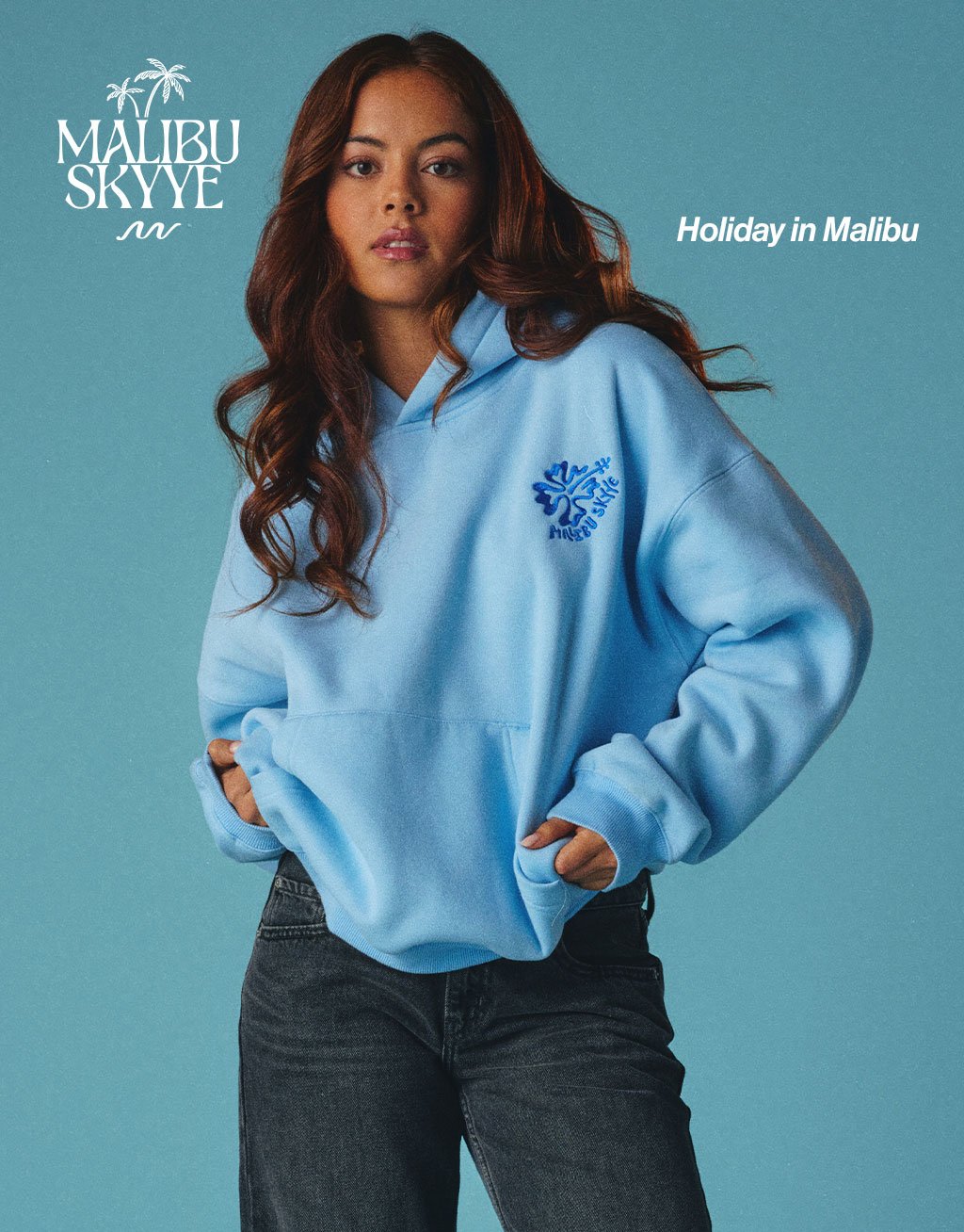 Malibu Skyye Holiday in Malibu