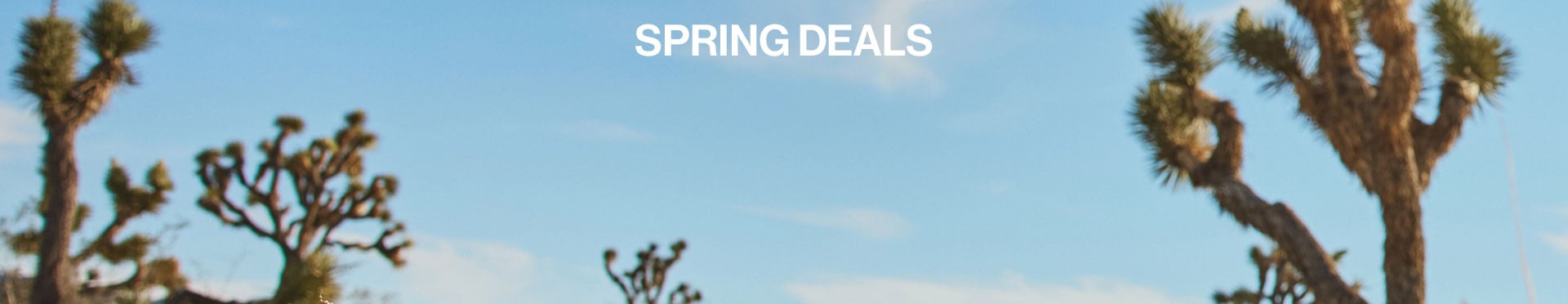 Spring Deals