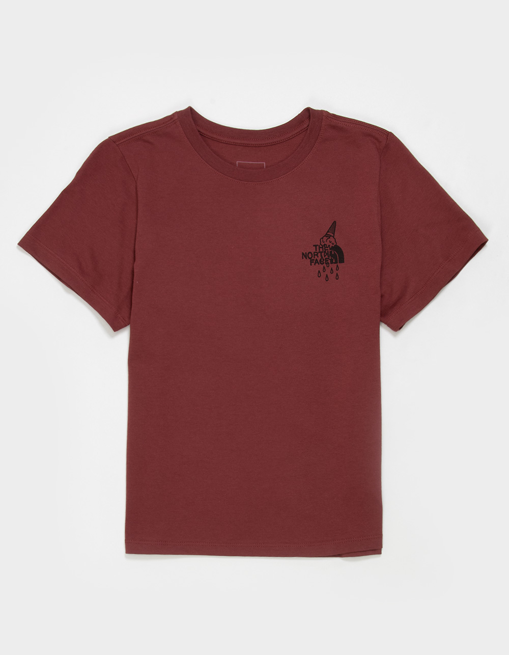 THE NORTH FACE Evolution Snow Sports Boys Tee - BURGUNDY