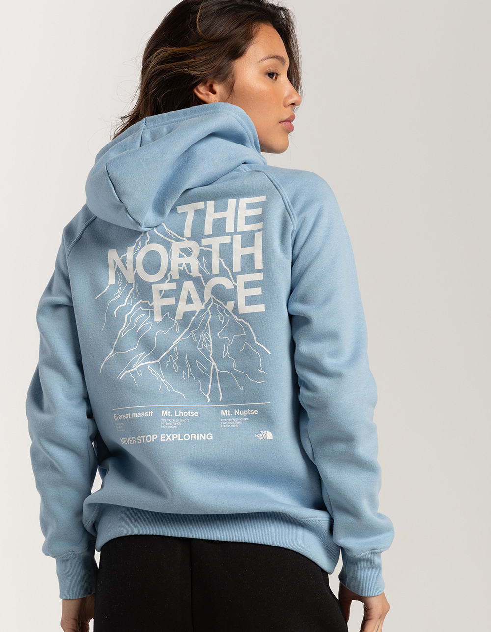 THE NORTH FACE Places We Love Womens Hoodie