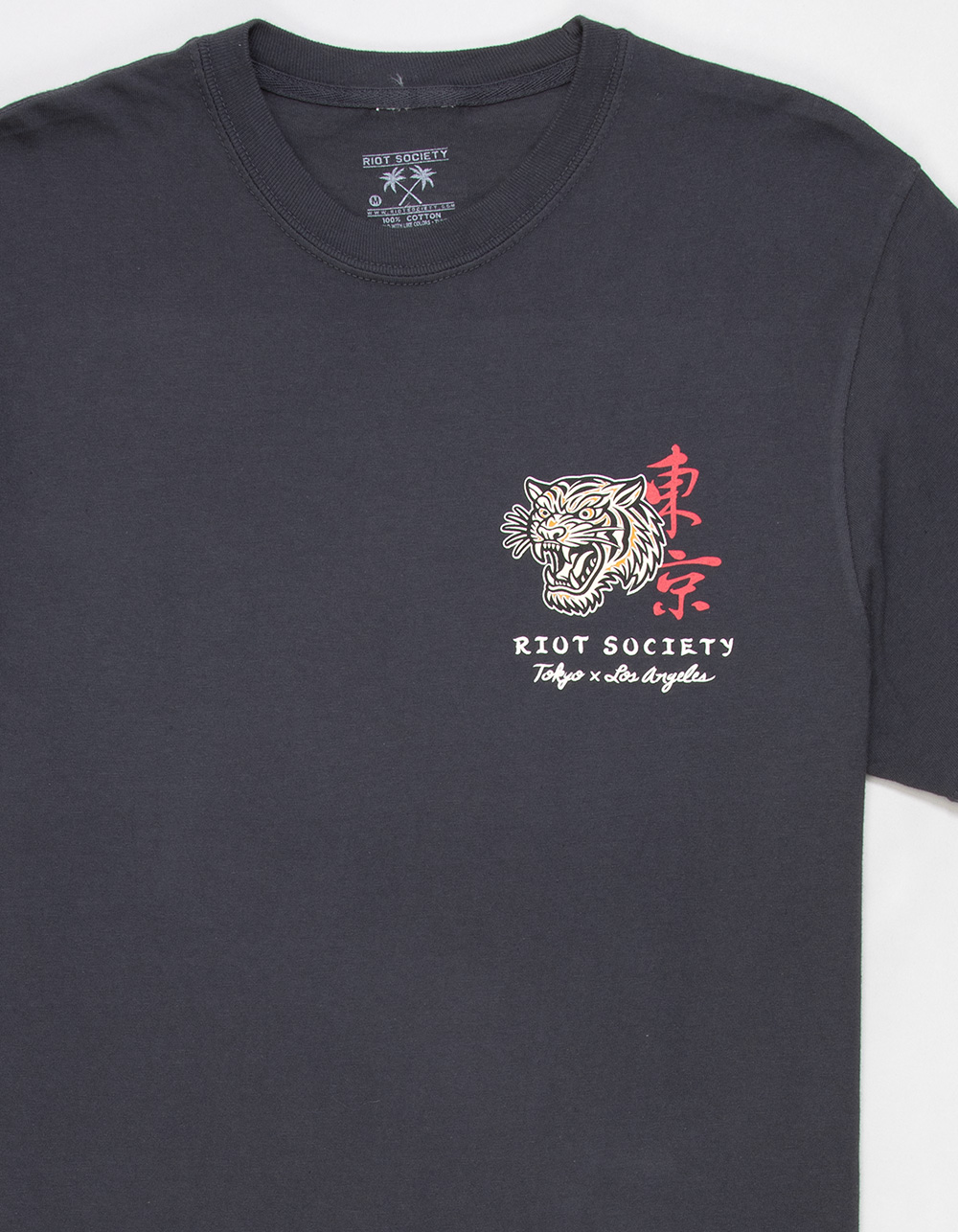 RIOT SOCIETY Feeling Lucky Mens Heavyweight Tee - CHARCOAL