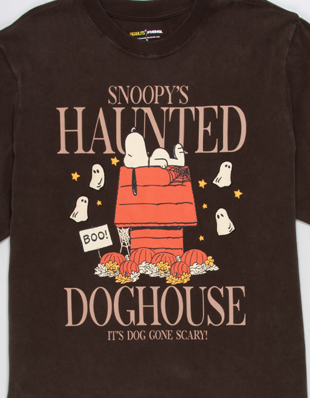 RSQ x Peanuts Doghouse Mens Tee - BROWN
