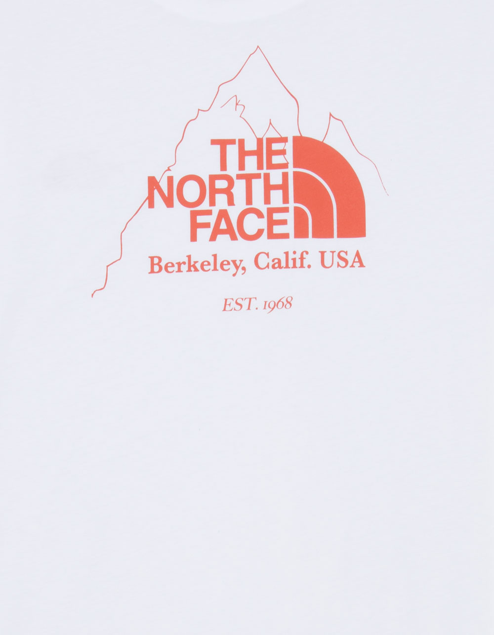 THE NORTH FACE Biner Graphic 4 Mens Tee - WHITE