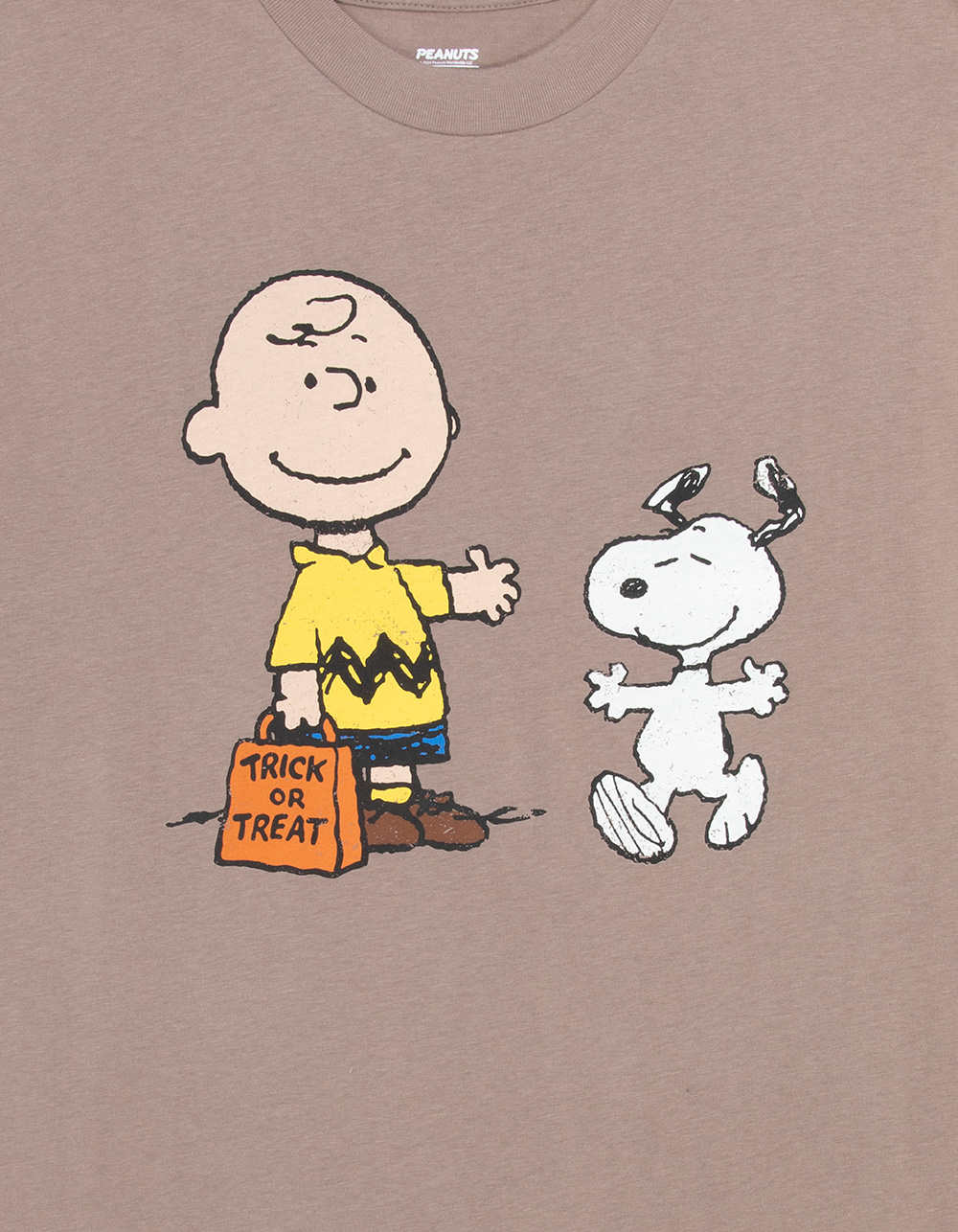 RSQ x Peanuts Trick Or Treat Mens Oversized Tee - TAUPE