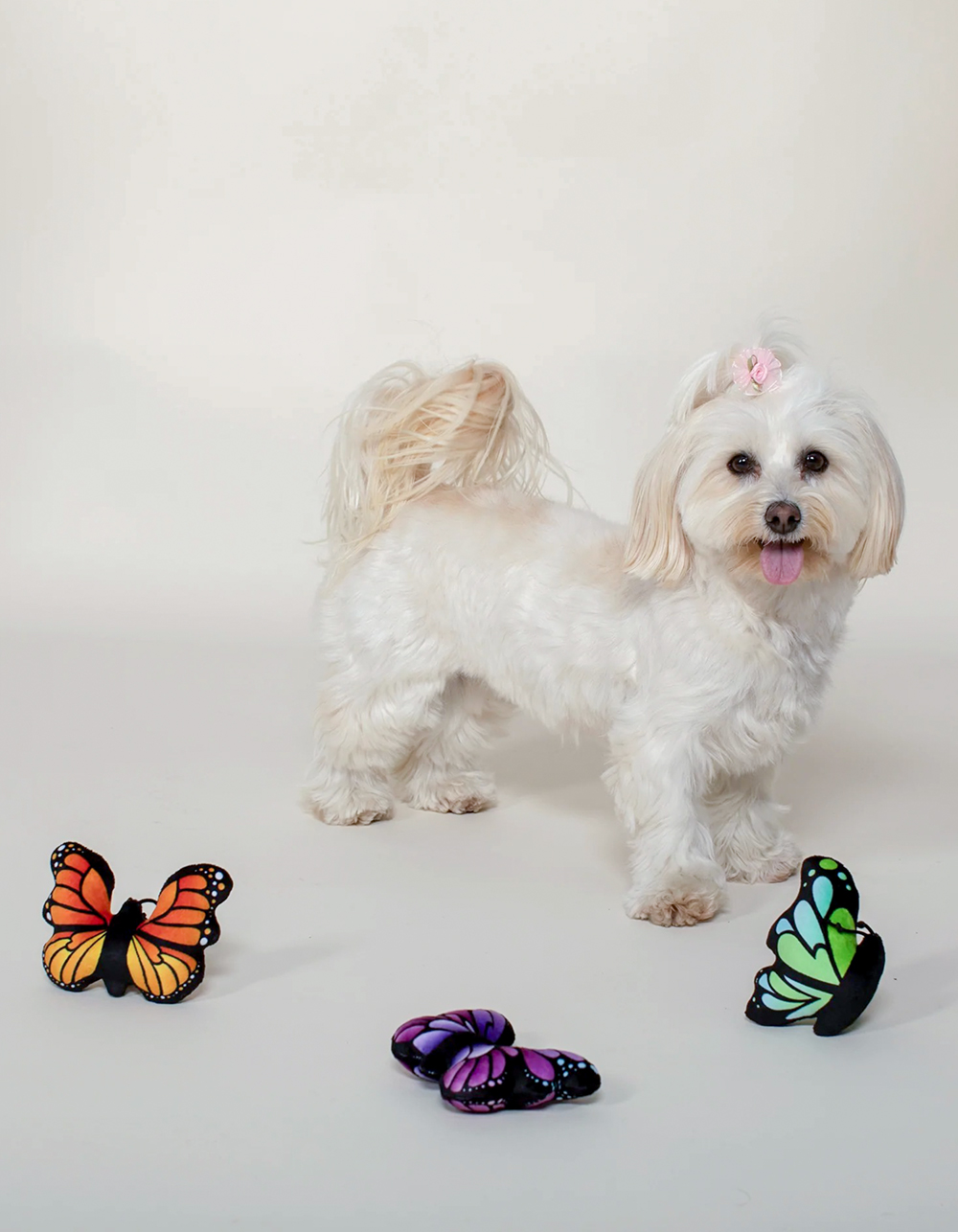 FRINGE STUDIO Butterflies Mini Pet Toys MULTI Tillys