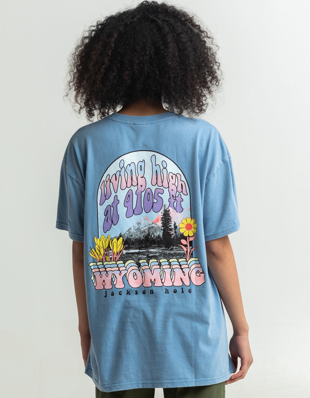 CONEY ISLAND PICNIC Whyoming Womens Tee - BLUE | Tillys