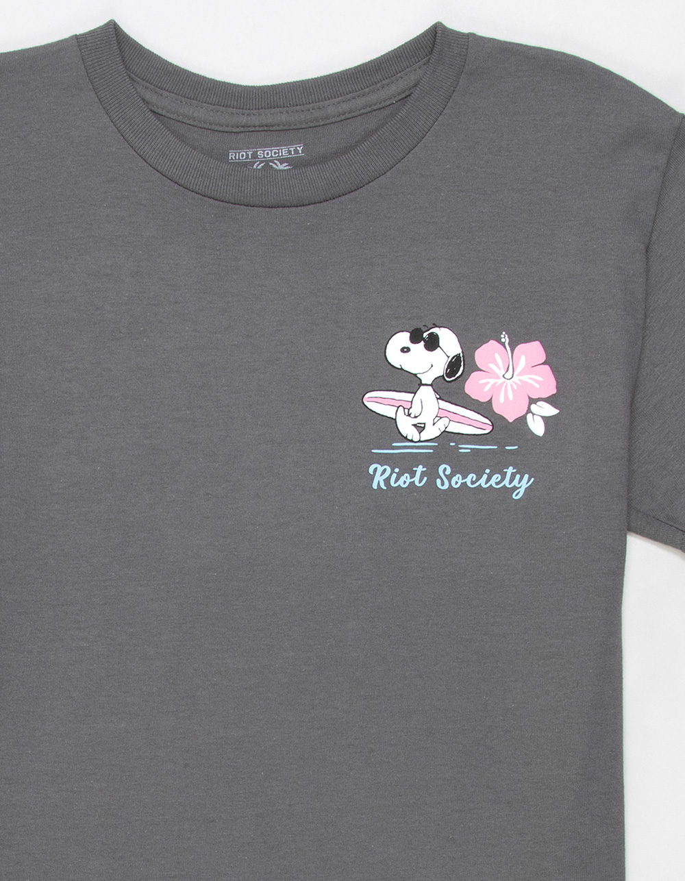 RIOT SOCIETY x Peanuts Snoopy Beach Girls Tee - CHARCOAL
