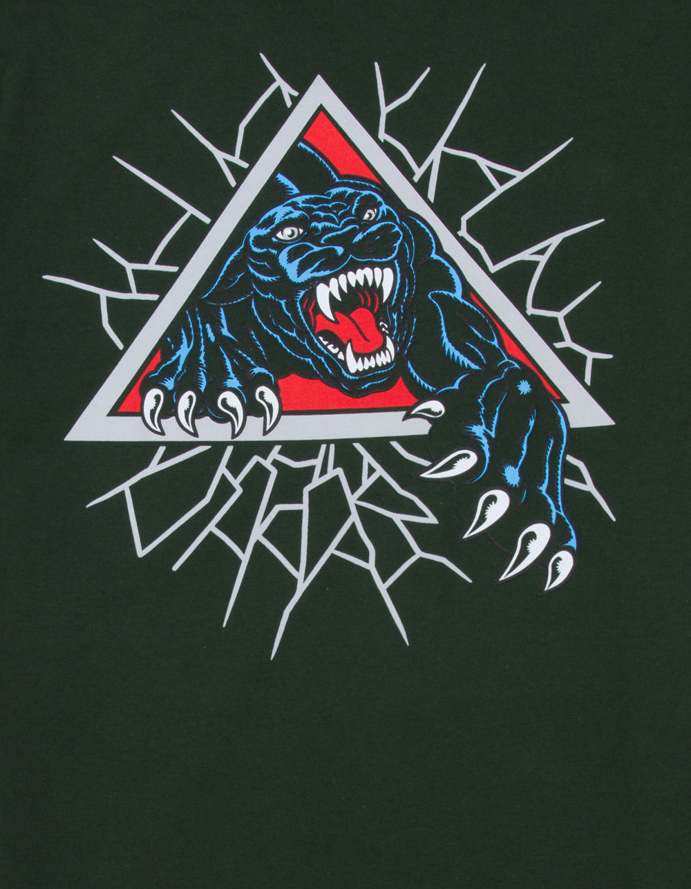 SANTA CRUZ Natas Panther Mens Tee - FOREST