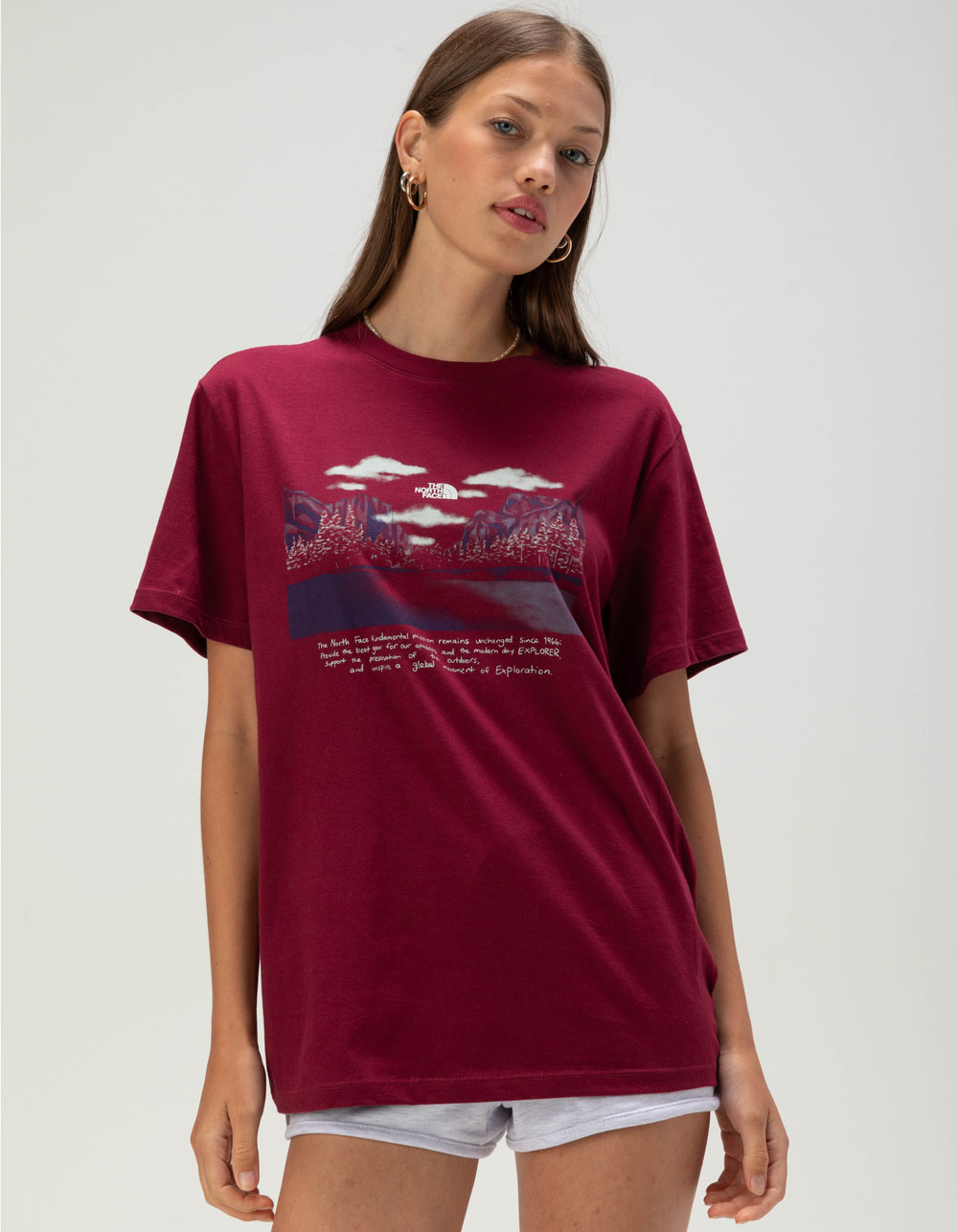 THE NORTH FACE Evolution Mountain Womens Tee - BURGUNDY