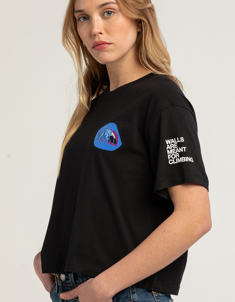 THE NORTH FACE Coordinates Womens Crop Tee - BLACK | Tillys