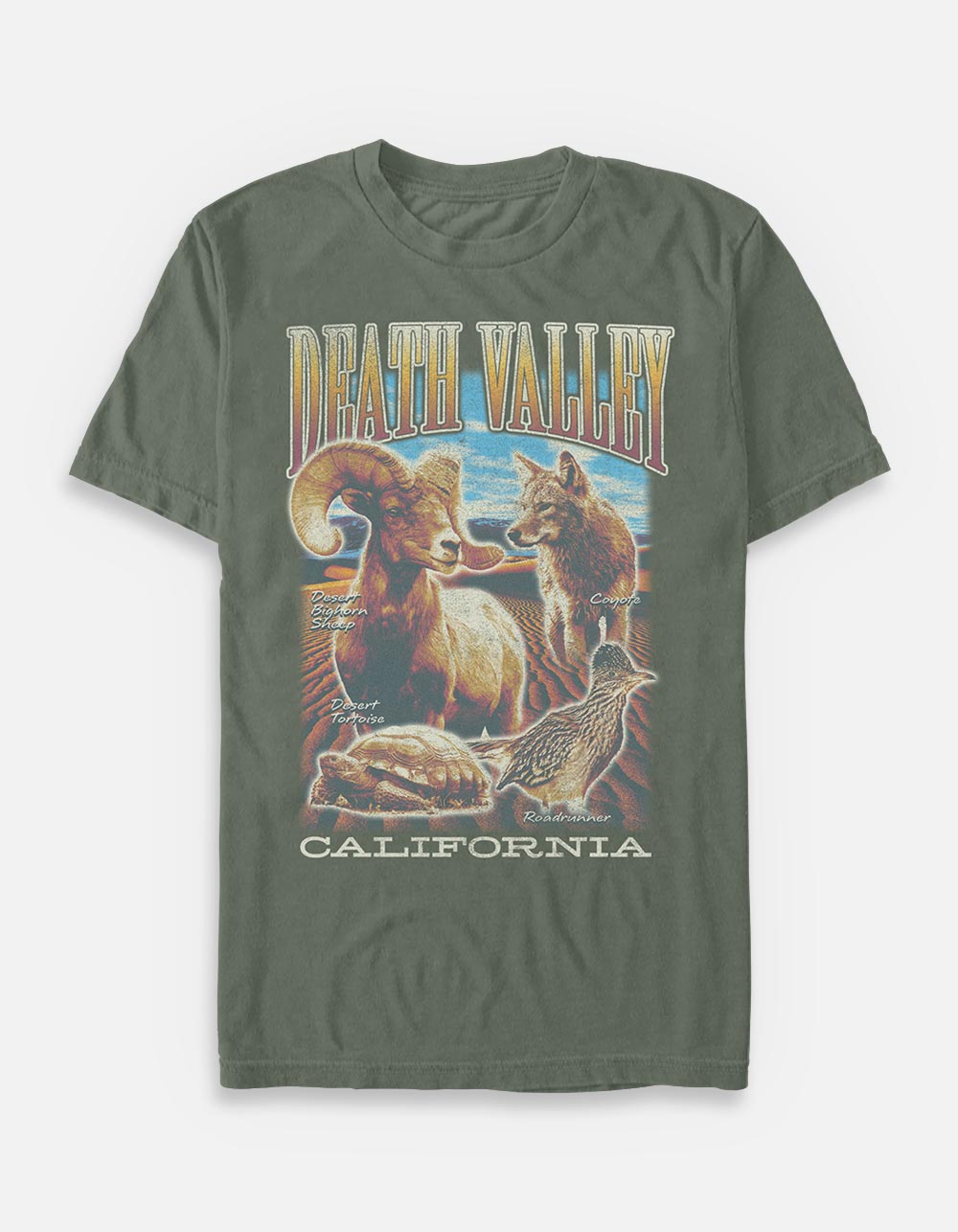 CALIFORNIA Death Valley Unisex Tee - SAGE