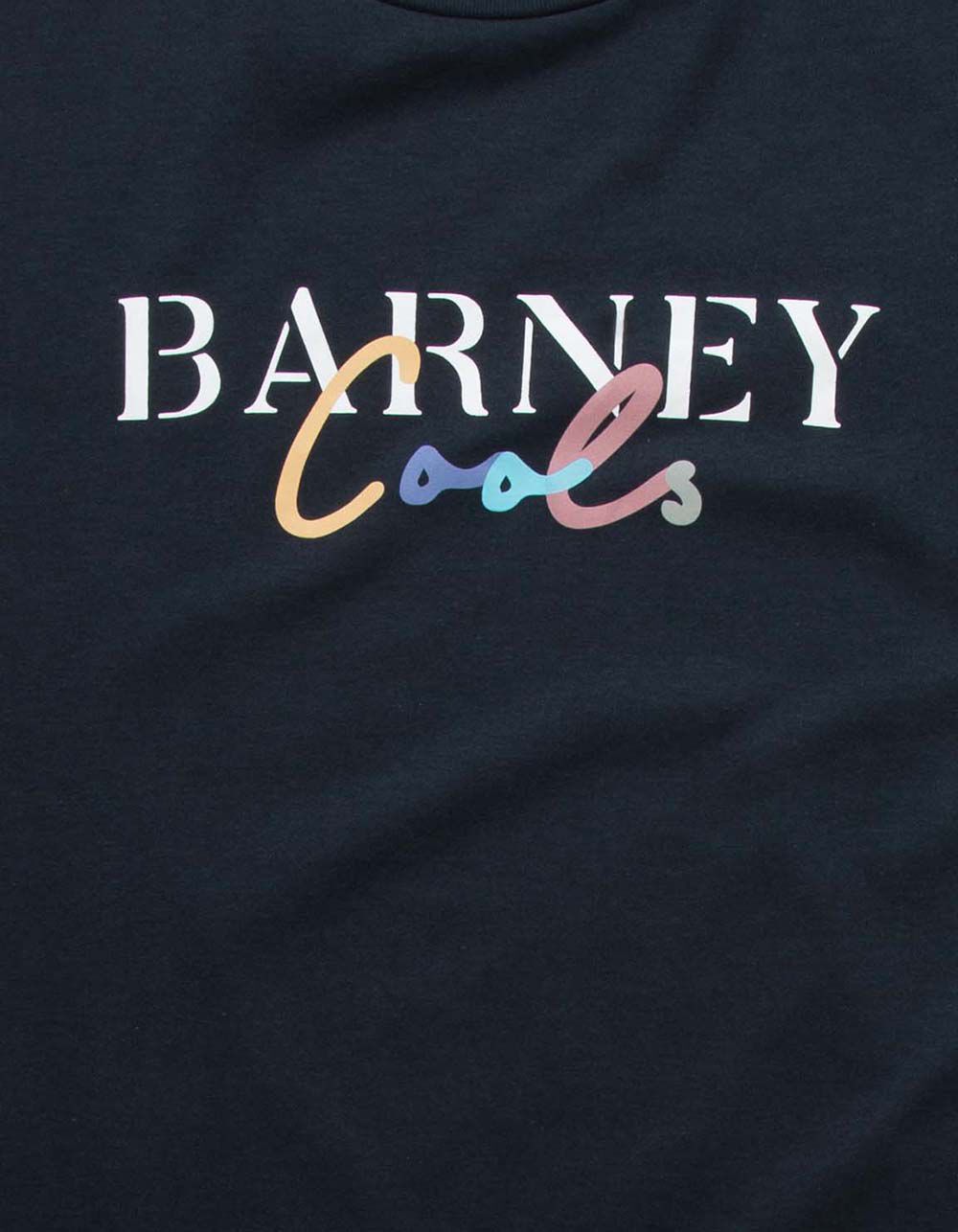BARNEY COOLS Color Script Mens Tee - NAVY | Tillys