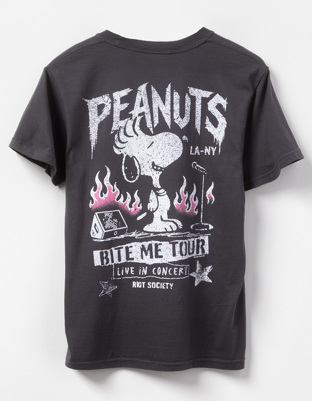 RIOT SOCIETY x Peanuts Tour Womens Tee - CHARCOAL