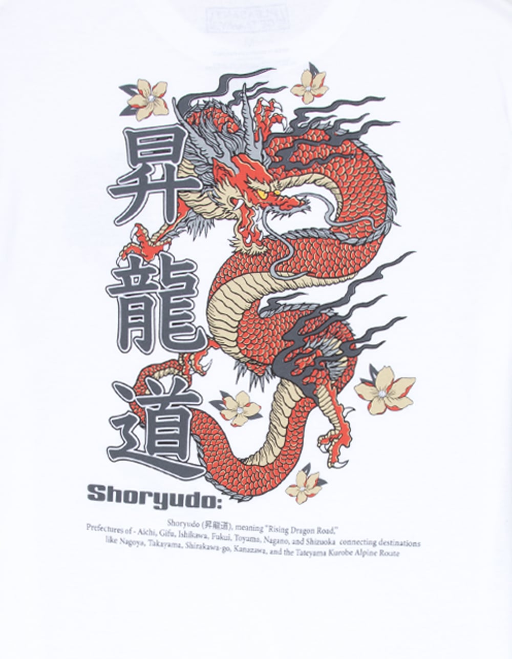 PLEASANT GETAWAY Shoryudo Mens Tee - WHITE