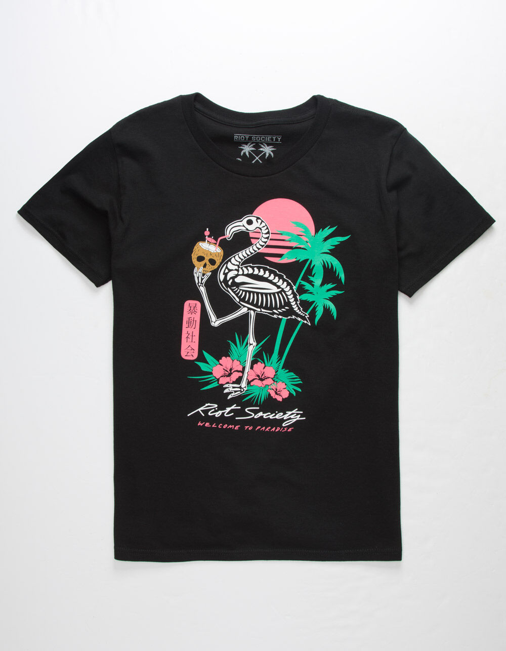 RIOT SOCIETY Tropical Flamingo Boys T-Shirt - BLACK | Tillys