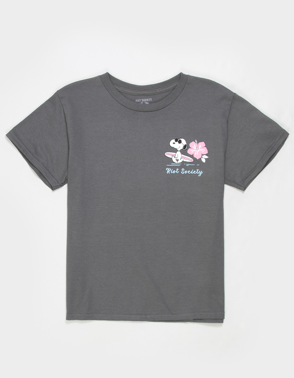 RIOT SOCIETY x Peanuts Snoopy Beach Girls Tee - CHARCOAL