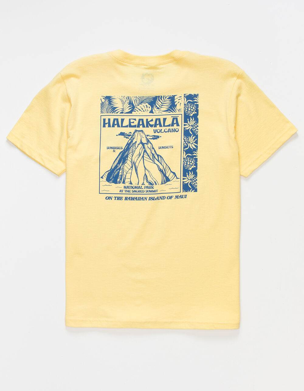 BLUE TIMBER Haleakala Boys T-Shirt - BANANA | Tillys