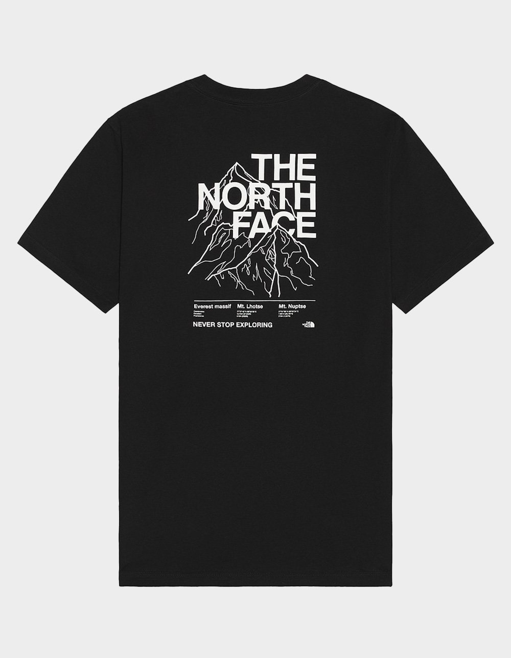 THE NORTH FACE Evolution Half Dome Mens Tee - BLACK